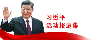  Reports of Xi Jinping